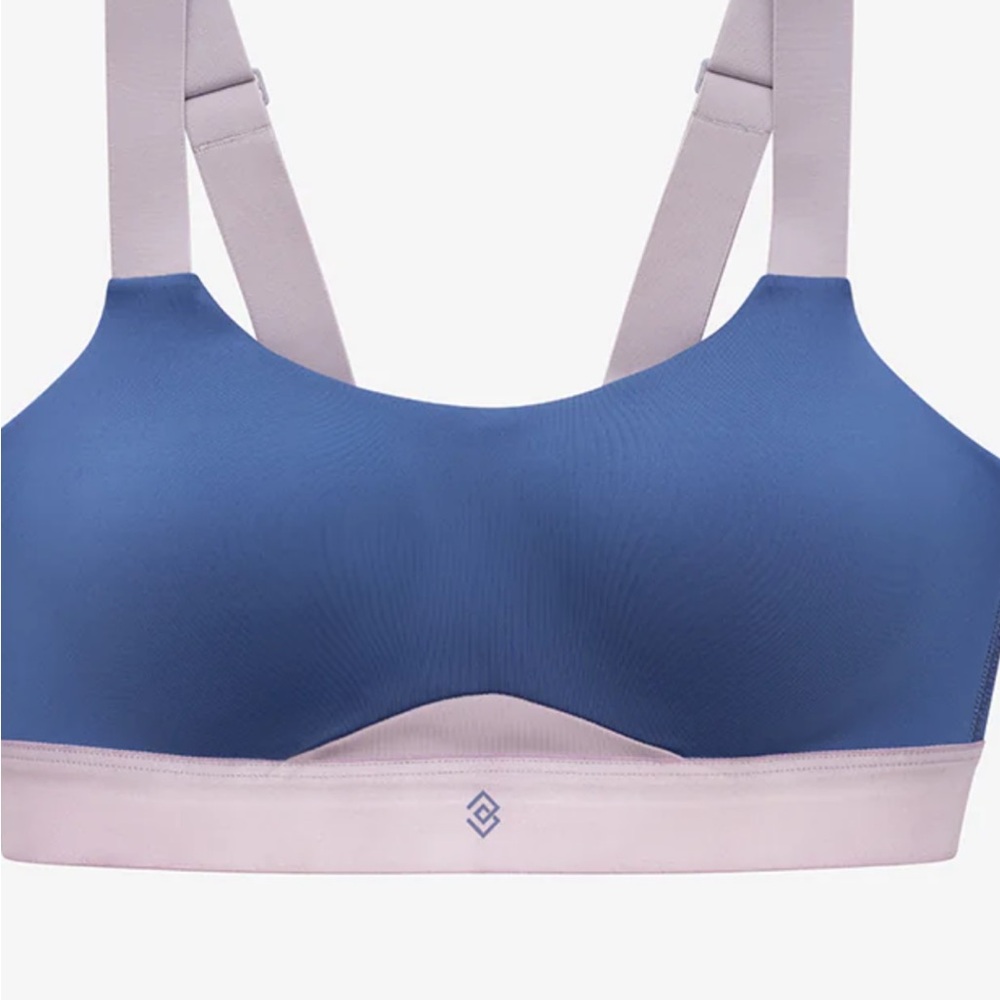 ThirdLove Blue and Cream sports Bra